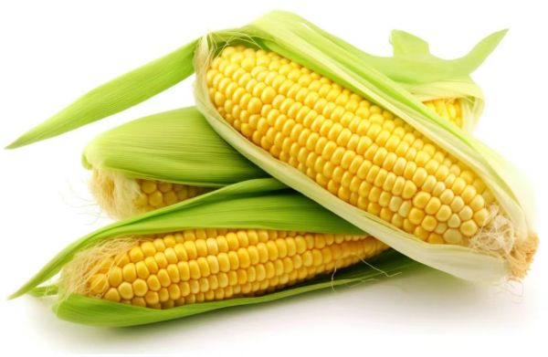 玉米